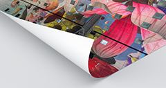 MC silk posters