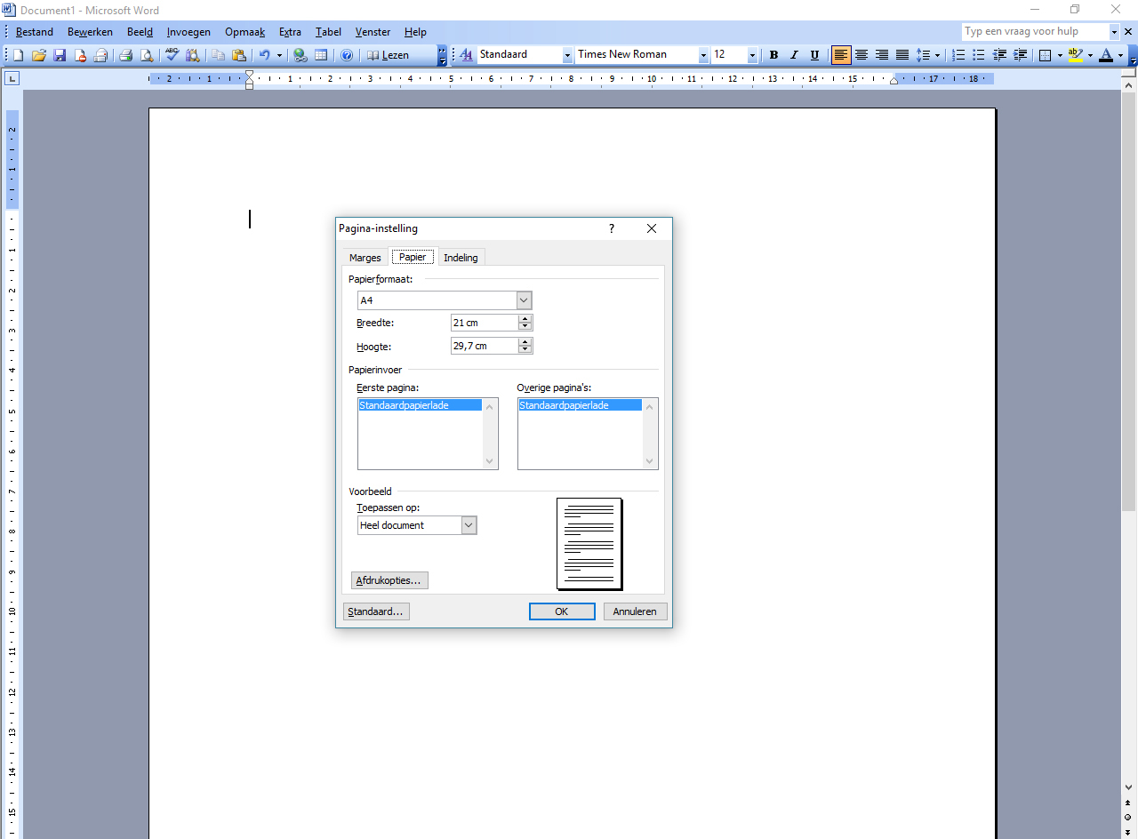 pagina instelling Word